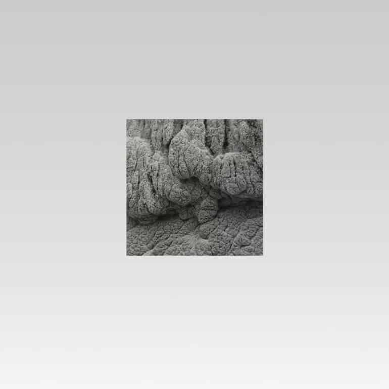 Poussière de calcaire, 27 cm x 27 cm