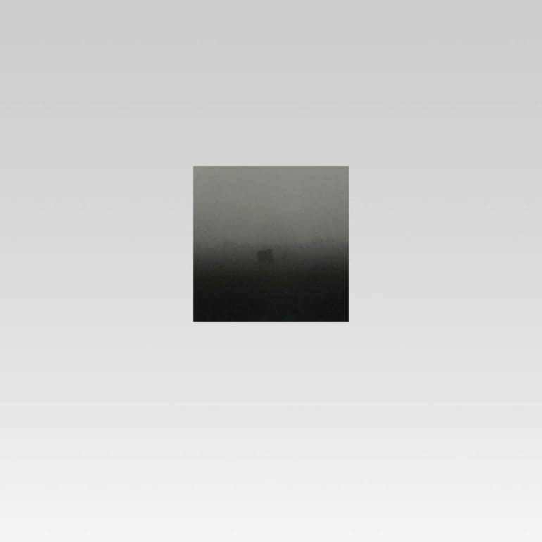 Vocha II, 5 cm x 5 cm